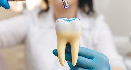 a dentist holding a large tooth sculpture