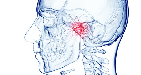 Illustration of the TMJ
